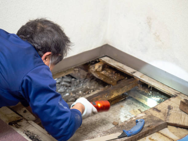 Water Damage Restoration in Friars Point, MS